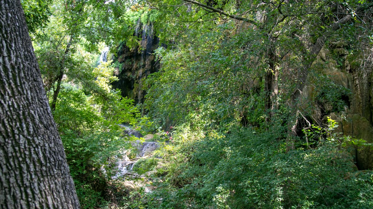 Gorman Falls tiene una cascada de 70 pies, alimentada por un manantial que requiere una gran caminata para llegar.