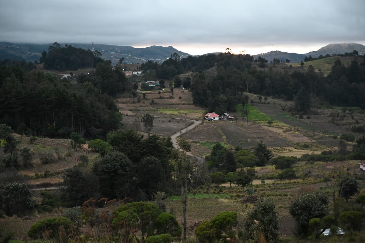Entre los 13 guatemaltecos que viajaron a Estados Unidos había 
<b>algunos que se dedicaban a actividades del campo para poder sobrevivir,</b> una era contadora y también había un joven futbolista muy reconocido en el pueblo. La mayoría de las familias cuenta que dejaron Guatemala para buscar mejores condiciones de vida. Algunos también querían producir dólares con los que poder sustentar tratamientos médicos para sus familiares.