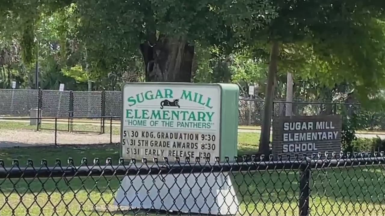 “Es desgarrador”: niña de cuarto grado muere atropellada cerca de su escuela en Port Orange