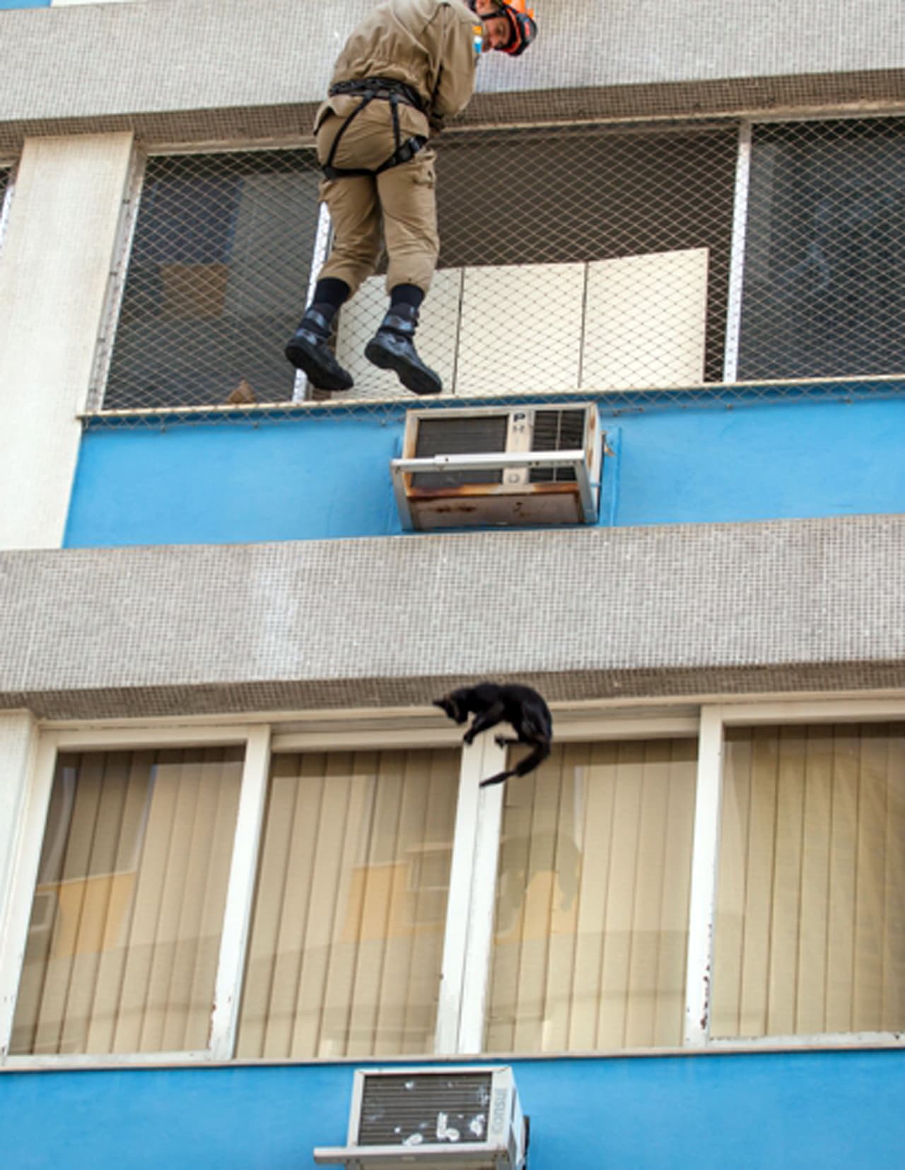Afortunadamente, la situación dramática tuvo un final feliz.