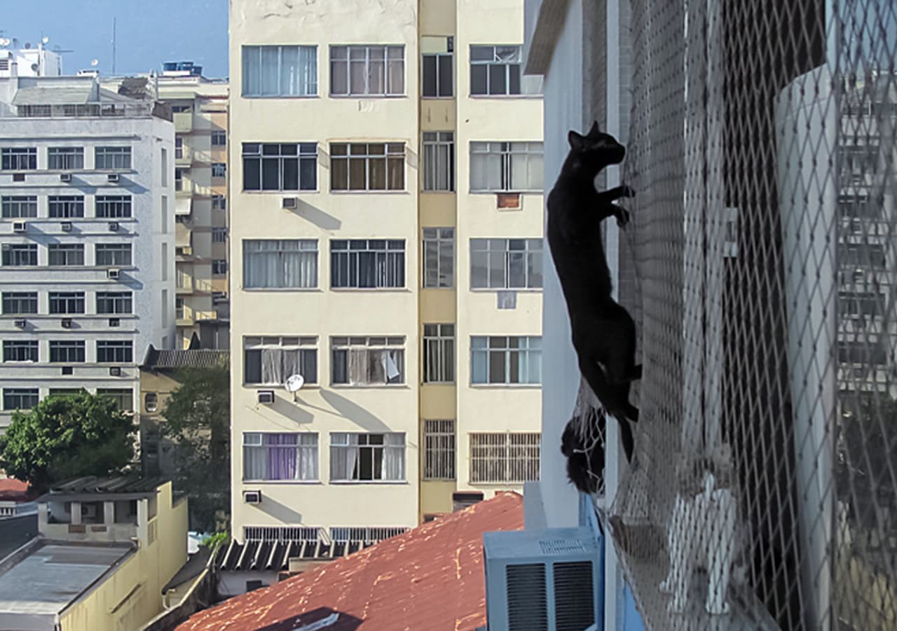 Una minina se encontraba en graves problemas.