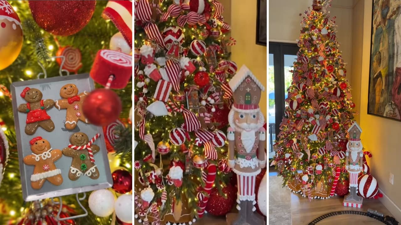 Francisca mostró cómo quedó el árbol de Navidad en su casa.