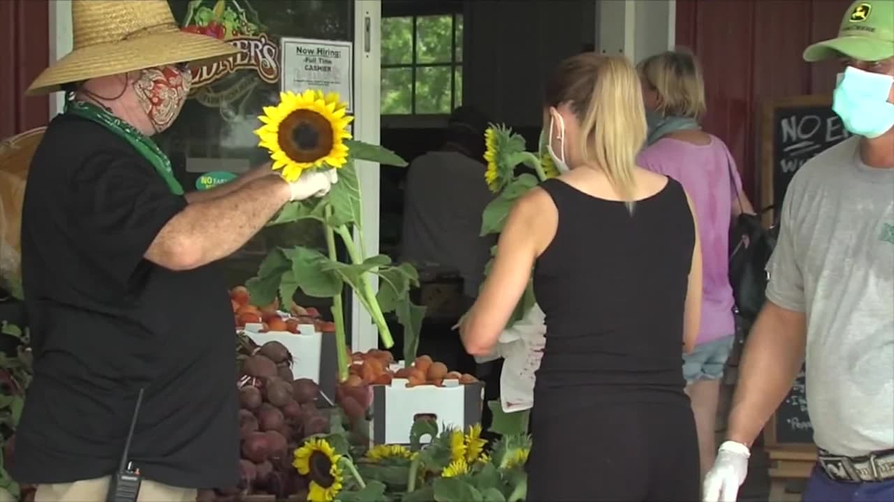 Así venden sus productos agricultores de Florida para no seguir botando comida con crisis del coronavirus