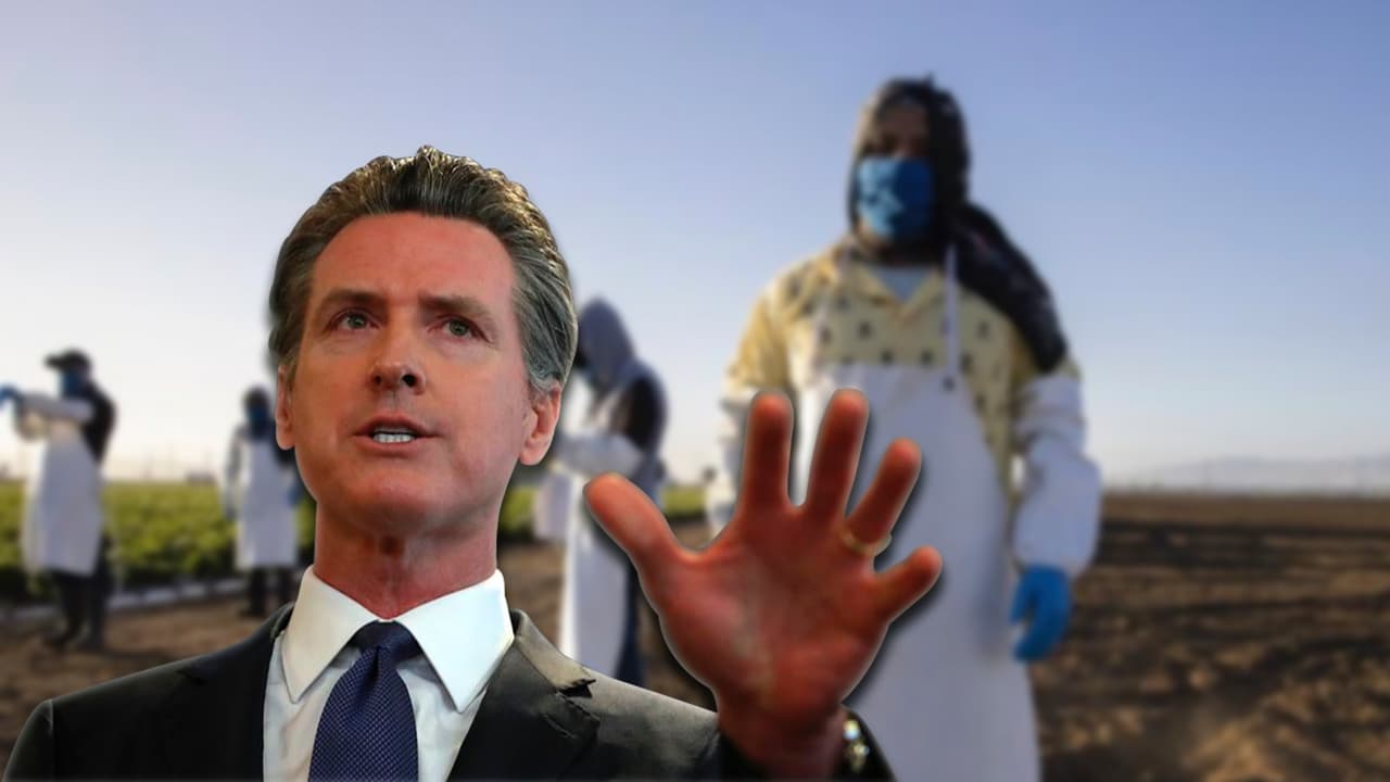 Newsom y su trabajo con la comunidad latina durante su gobierno: "salud, educación y dinero gratis"