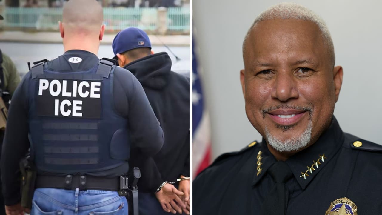 “Vamos a cooperar con las agencias federales”: el jefe de policía de Dallas fija postura sobre inmigración