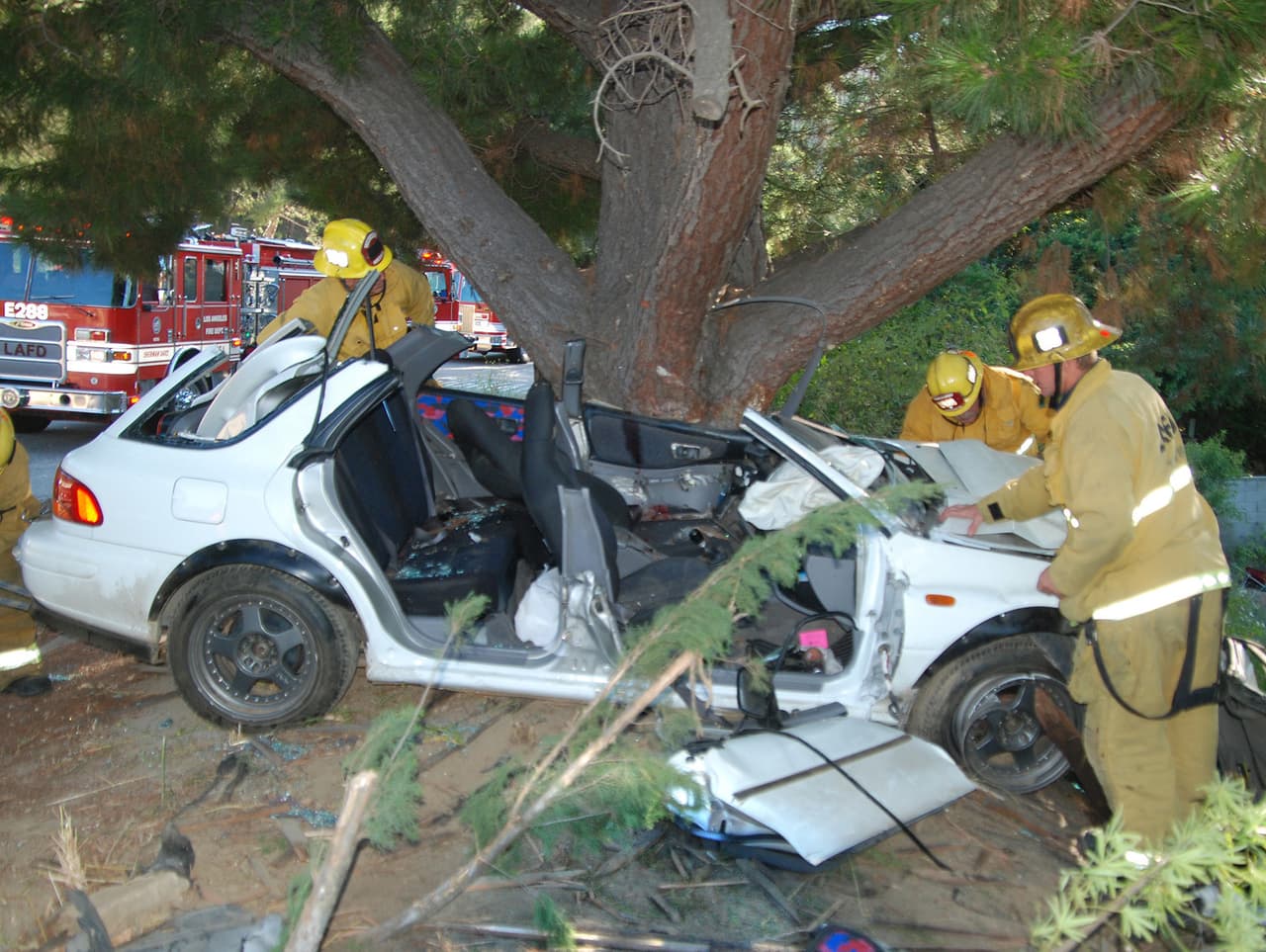 16 de julio: Un hombre sufrió heridas graves tras chocar contra un árbol en el bulevar Sepulveda en la ciudad de Encino.