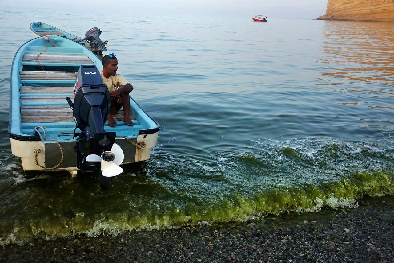 Las aguas verdes pueden incluso apreciarse en la orilla de la playa Bandar al-Jissah. Con el paso de los años, la proliferación es más abundante y se prolonga por un mayor período de tiempo. En 2008, 50 toneladas de peces murieron en esa zona ante la falta de oxígeno en el agua. (Sam McNeill/AP)
