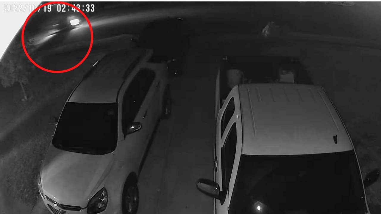 En videos de seguridad, dice la familia García, se observa que esa madrugada del 19 de octubre un auto pasó y se detuvó en el árbol donde fue hallado el cuerpo, luego siguió de largo.
