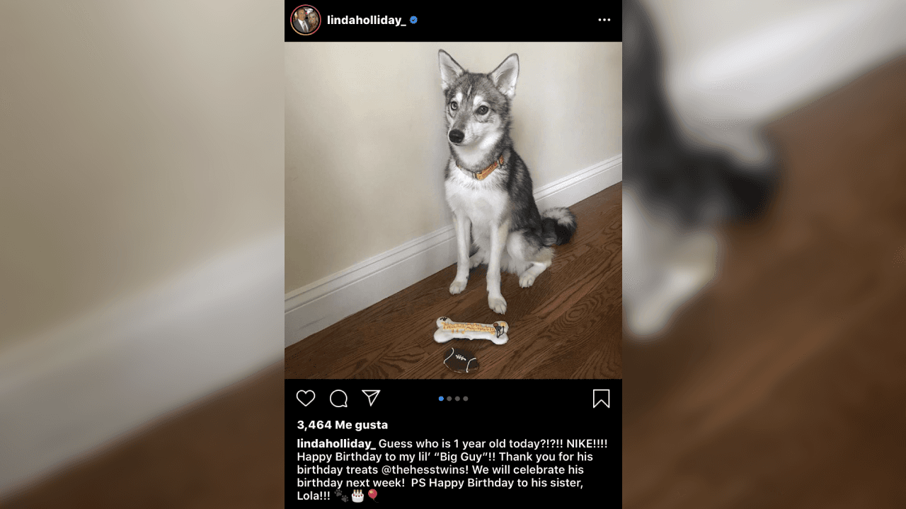 En la cuenta de la red social de Instagram Linda, ha subido fotografías de su amada mascota. ¡Él es Nike!