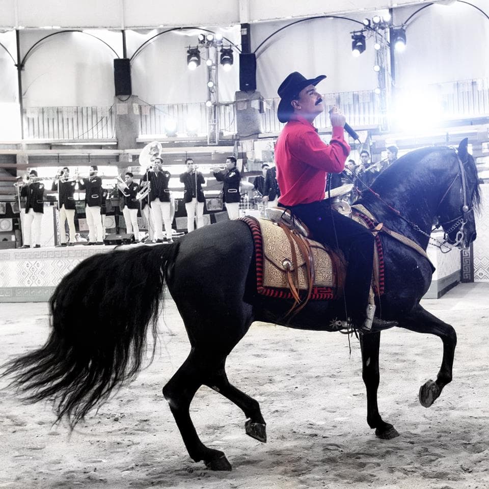 El Chapo de Sinaloa, que recientemente tuvo una participación en la política de Nayarit, también se ha distinguido por sus jaripeos.