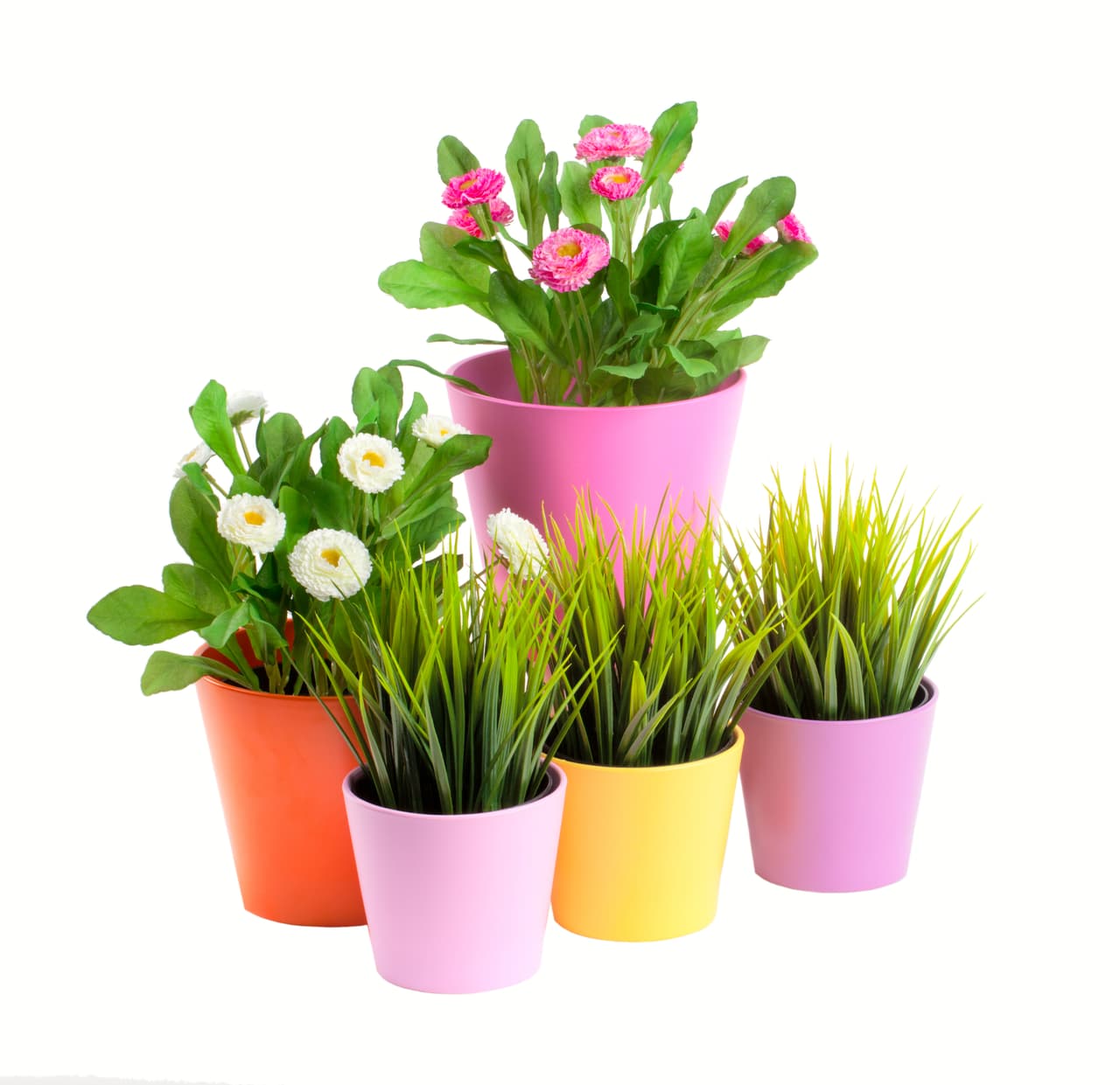 <b>Usa tu creatividad:</b> Si ya tienes las plantas, tal vez deberías probar pintando o cambiando las macetas. Tú misma puedes decorarlas, pintarlas y hacerlas lucir diferente.