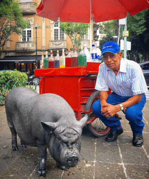 Regularmente, propios y extraños se detienen para tomarse la clásica foto junto a La Chata.