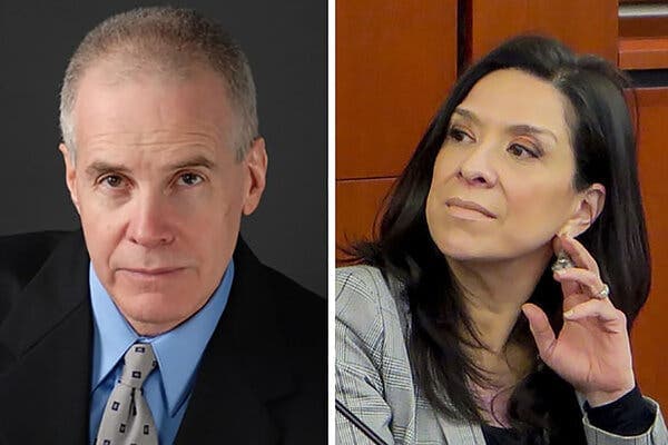 En su sitio web, Hollander escribió un documento en el que insultaba a Salas, usando lenguaje racista y sexista. Afirmó que a menudo tenía problemas con las juezas latinas, alegando que estaban "impulsadas por un complejo de inferioridad".