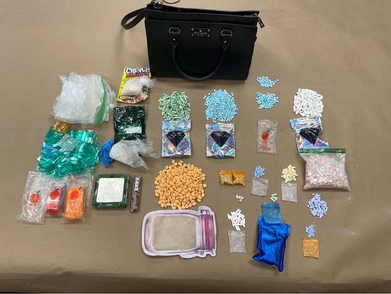 31.23g de metanfetamina, 31.23g de cocaína, 10.65g de alprazolam (Xanax), 82.86g de clorhidrato de oxicodona/acetaminofeno, 233.48g de MDMA (Éxtasis), 211.52g de fentanilo y 207.38g de anfetamina/dextroanfetamina