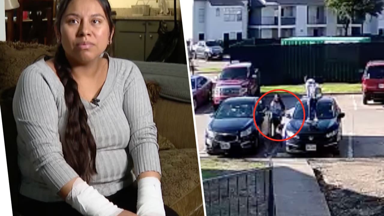 Los minutos de angustia que una mujer embarazada vivió al ser atacada por un perro frente a sus hijos