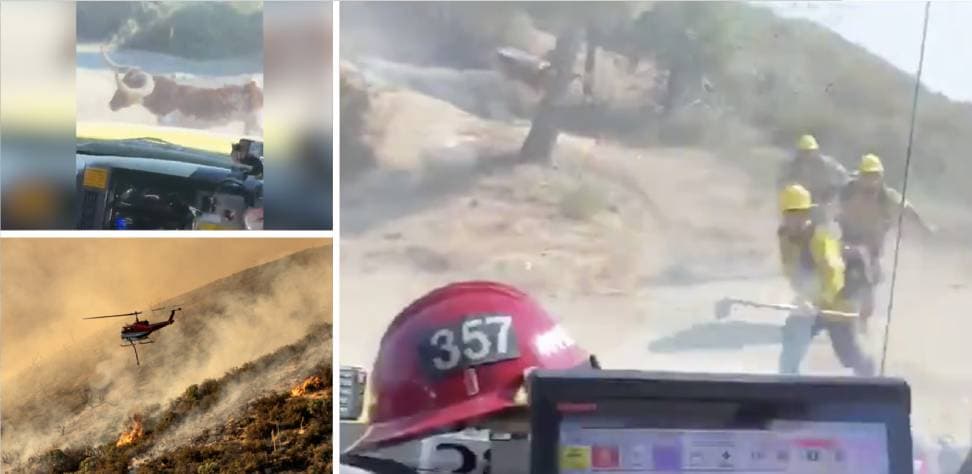 Incendio Lake: No solo del fuego deben cuidarse los bomberos de California y este video lo demuestra