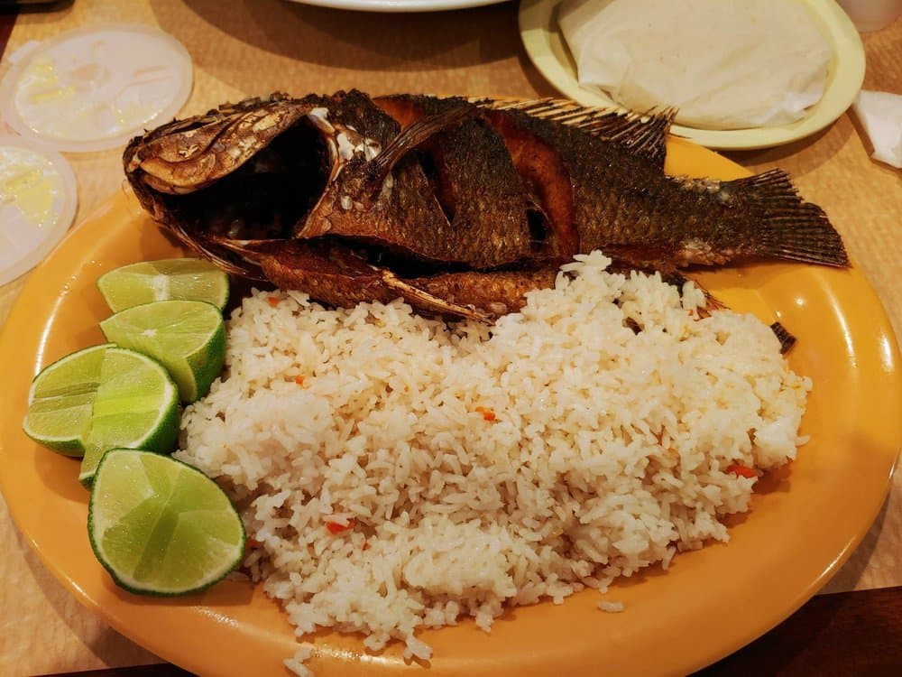 <b>El Pollo Rico Restaurant</b>
<br>Dirección: 3901 Capital Blvd Ste 173 Raleigh, NC 27604
<br>Teléfono: (919) 431-9985
<br>Sitio web:
<a href="http://www.elpolloriconc.com/">http://www.elpolloriconc.com/</a>
<br>
<a href="https://www.yelp.com/map/el-pollo-rico-restaurant-raleigh">Cómo llegar</a>
<br>
<br>Restaurante que ofrece comida salvadoreña, mexicana y española, entre otras especialidades.