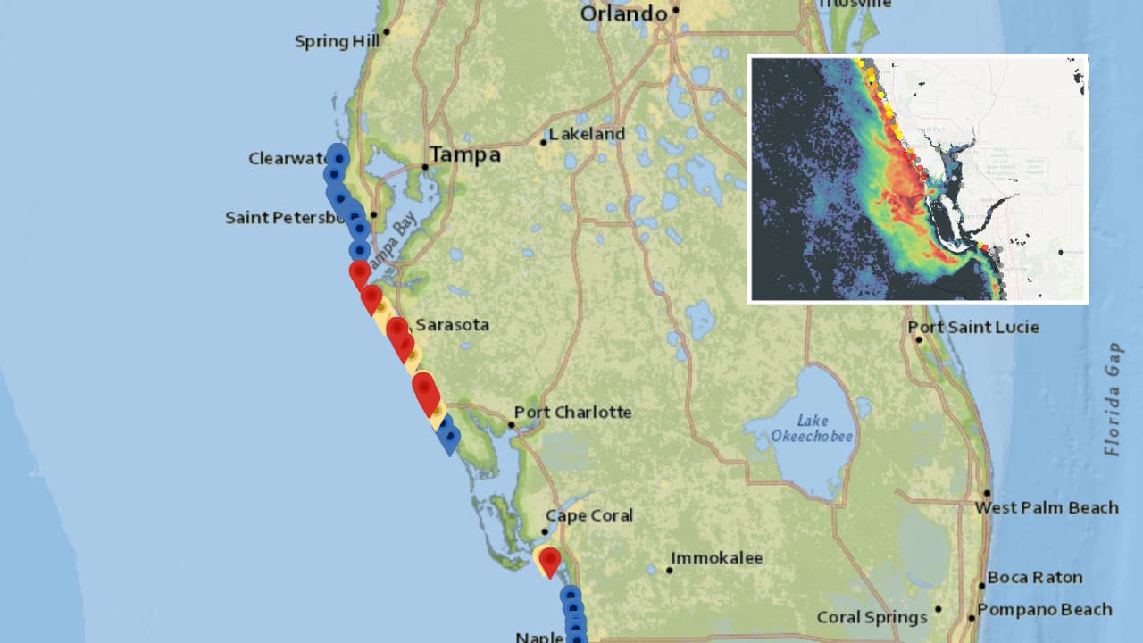 Alertan por marea roja en playas de los condados Manatee, Sarasota y Lee 