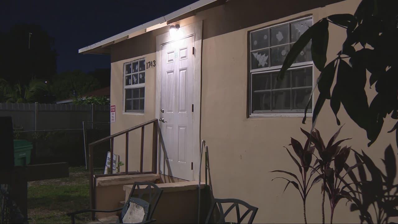 Hospitalizan a una niña tras ser atacada por un perro en Miami-Dade: el animal escapó y anda suelto