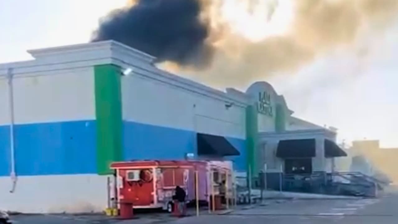 Más de 500 animales murieron en el incendio en Plaza Latina, esto es lo que sabemos