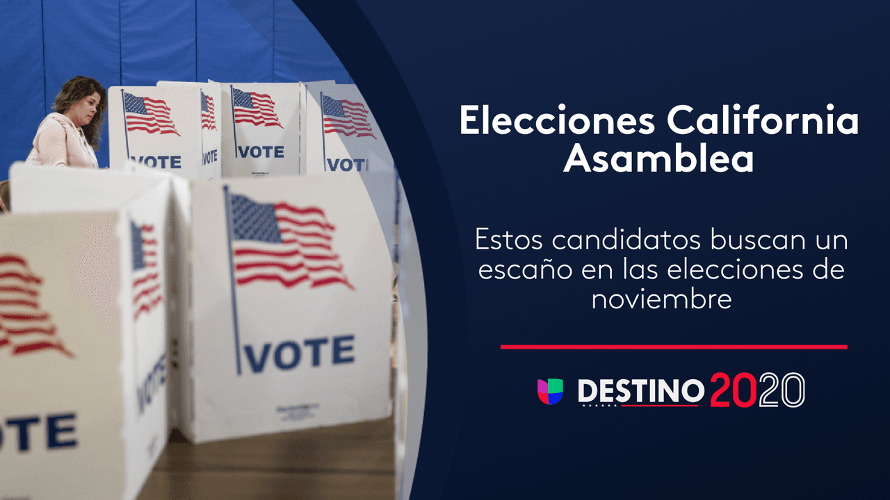 Estas son las principales elecciones para la Asamblea de California en noviembre 