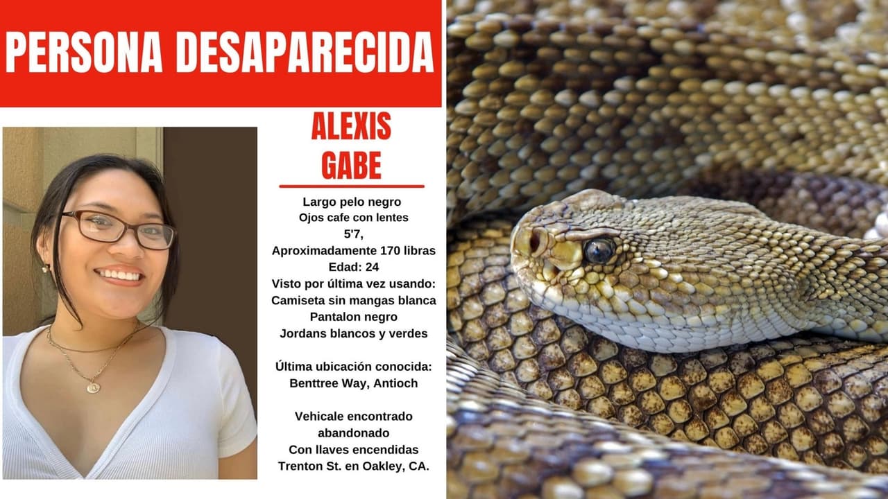 Suspenden temporalmente búsqueda de Alexis Gabe y esta es la razón