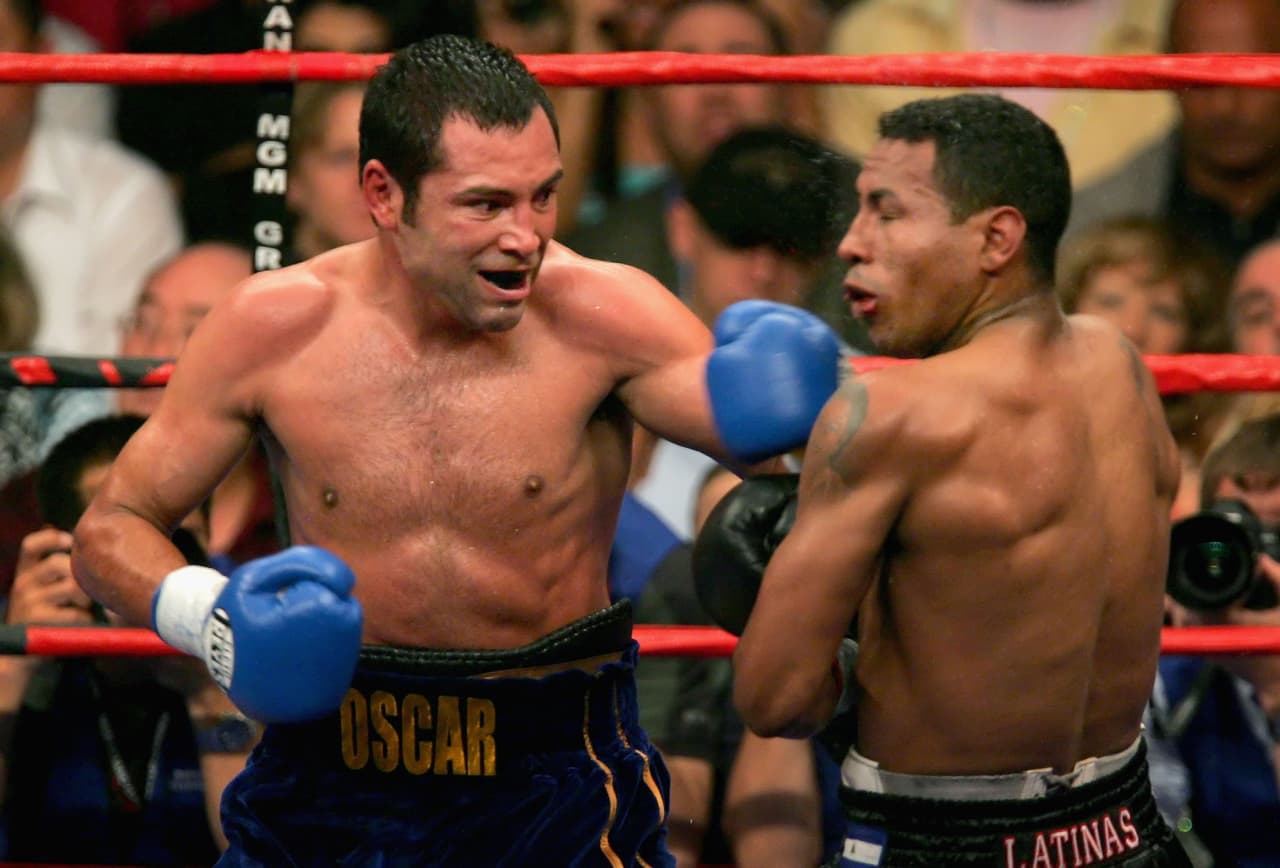 Al final, De la Hoya lo derrotó por el título de peso mediano de la WBC y Mayorga reconoció que lo insultó tanto que fue su rival el que tomó la iniciativa en el ring y lo derrotó por nocaut técnico.