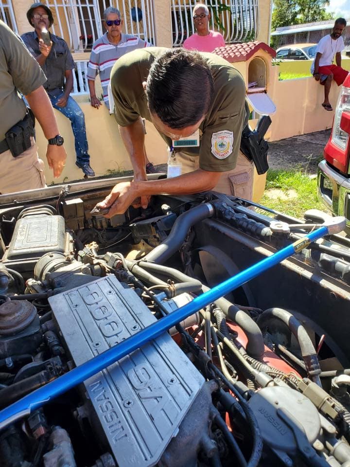 El Cuerpo de Vigilantes se hizo cargo del reptil y lo trasladó a su hábitat.
