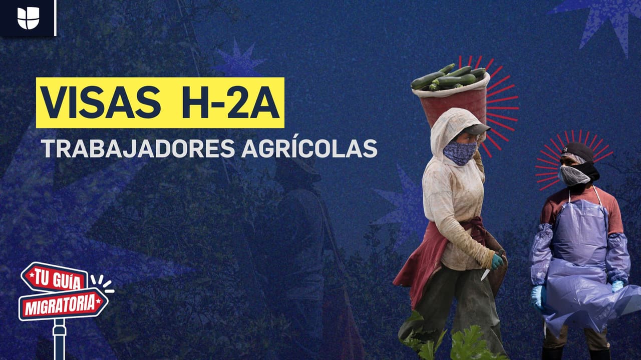 Tu guía migratoria|Visa H-2A: La visa que te permite trabajar legalmente en el campo en EEUU