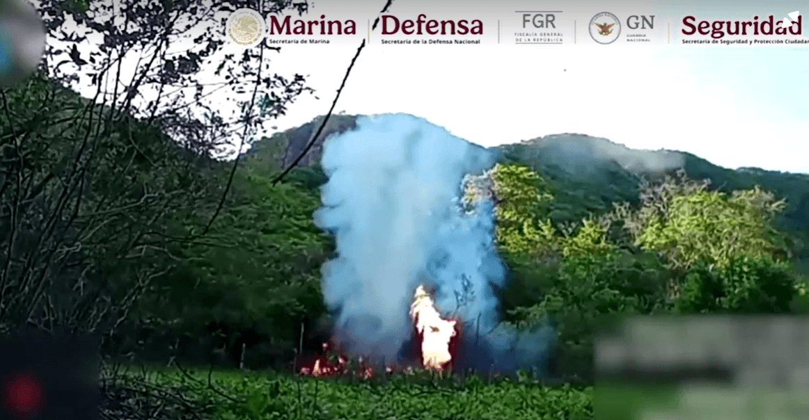 Son 
<b>millones de pesos</b>, dice la policía, que no llegaron a los bolsillos de los criminales.