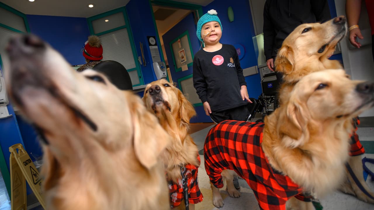 Visitaron a 
<a href="https://www.univision.com/local/houston-kxln/joven-doctora-de-houston-que-atendia-a-pacientes-de-coronavirus-muere-de-la-enfermedad">pacientes</a> de neurología y trasplantes y a sus familias, haciendo sonreír a todos.