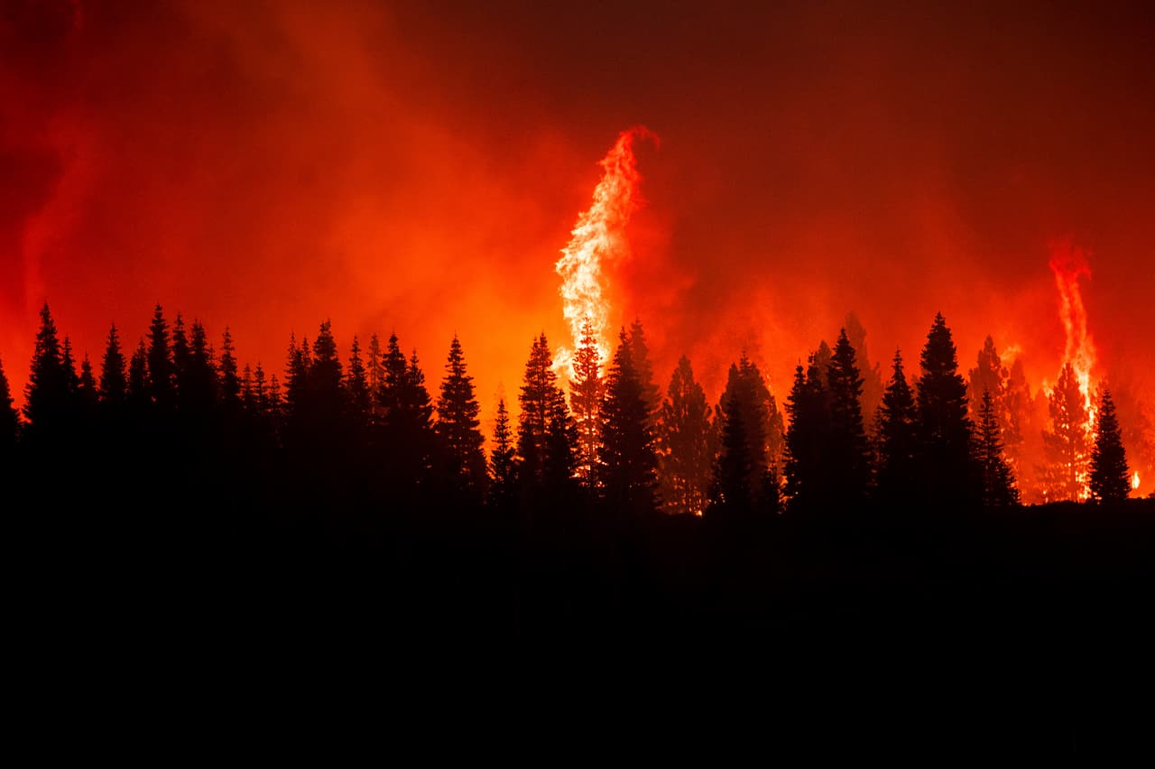 Los equipos de 
<a href="https://www.univision.com/temas/bomberos">bomberos</a> también están intentando controlar incendios en el noreste de Washington y el norte de Idaho. En la imagen, nubes de humo se elevan sobre las llamas del incendio Dixie, en California.