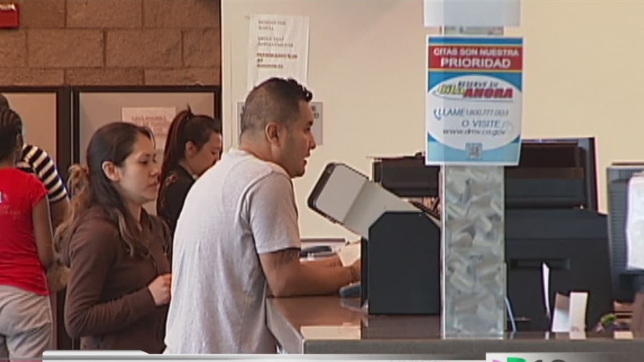 Licencias para todos: ¿personas con problemas de la vista pueden tramitar la licencia de conducir?