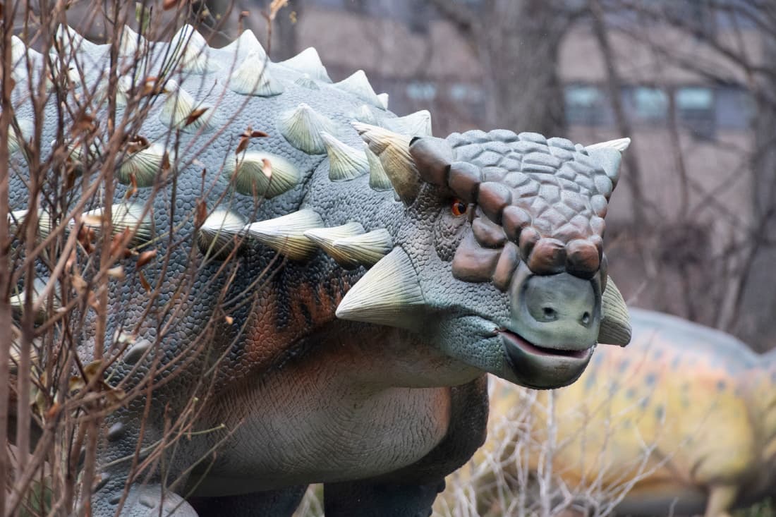 El zoológico destacará momentos poderosos de la historia, como erupciones volcánicas y golpes de asteroides, que alteraron la atmósfera de la Tierra y cambiaron el nivel del mar.