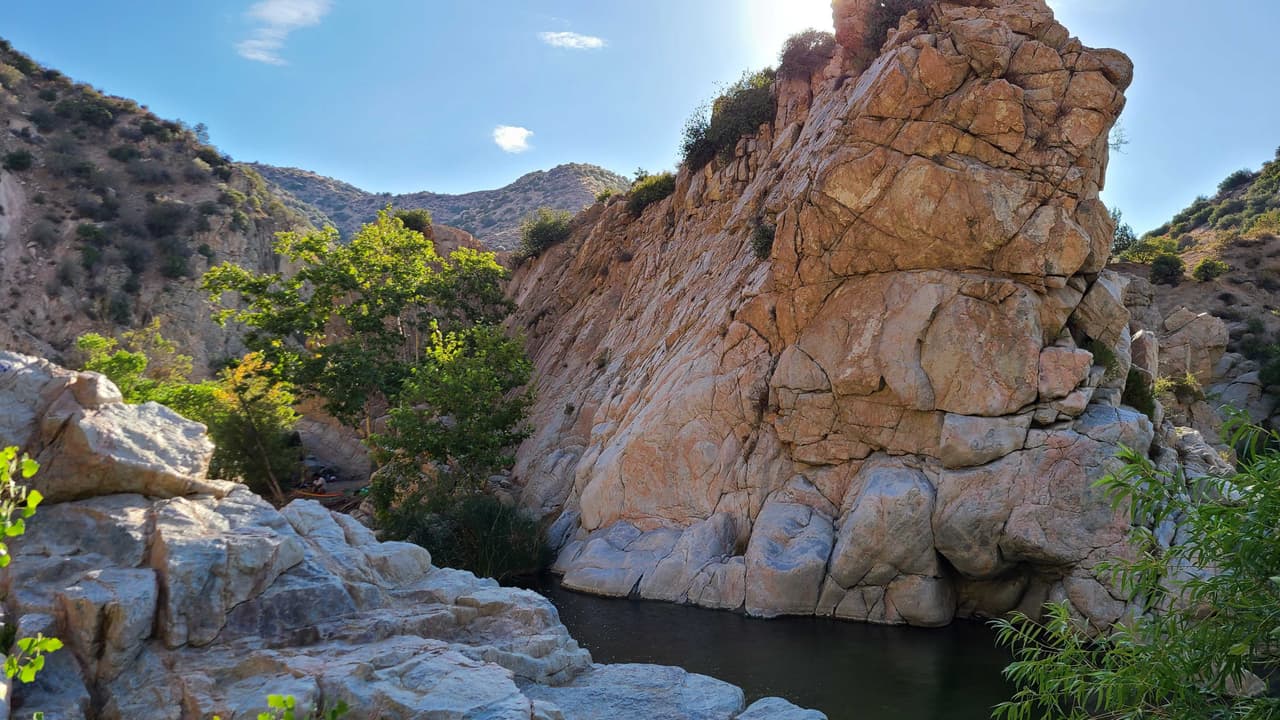 El hábitat natural es casa de diversas especies de flora y fauna. Es catalogado como uno de los lugares más biodiversos del desierto de San Bernardino.