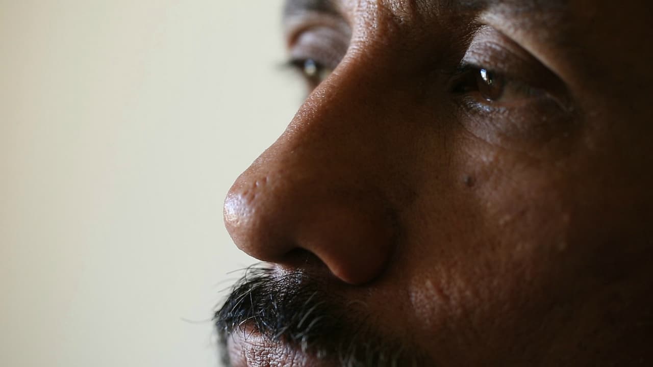 La terapia para veteranos de guerra que ahora es usada en inmigrantes que cruzan la frontera