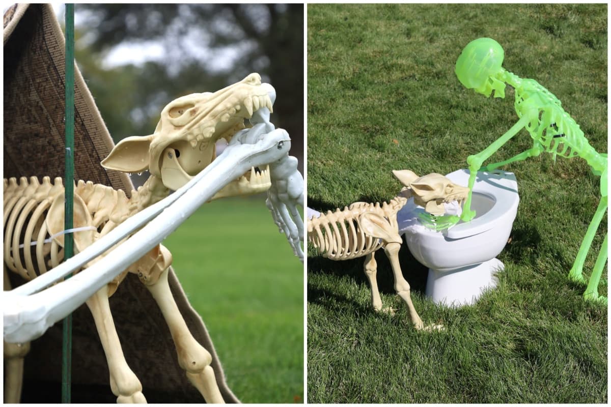 Las mascotas también forman parte de la curiosa y original exhibición organizada por el Departamento de Recreación de Riverton.