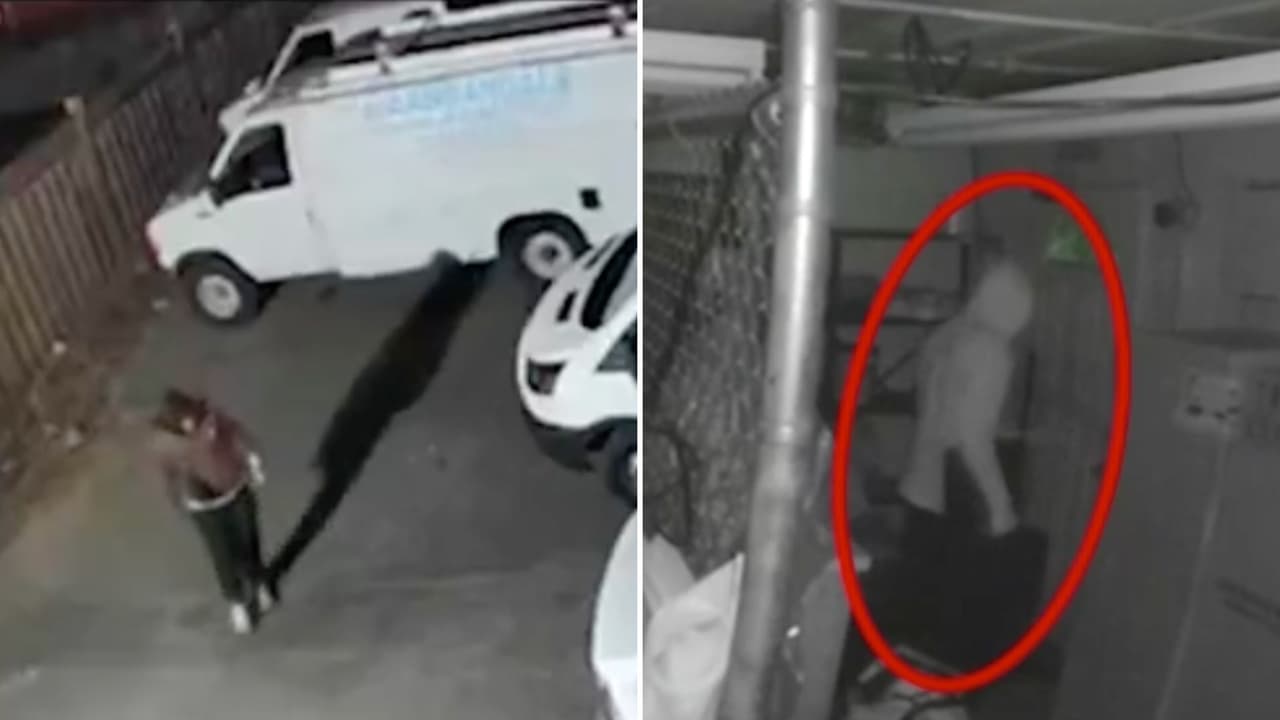 Ola de robos en Virginia: Se reportan 5 atracos de herramienta de trabajo en menos de 24 horas