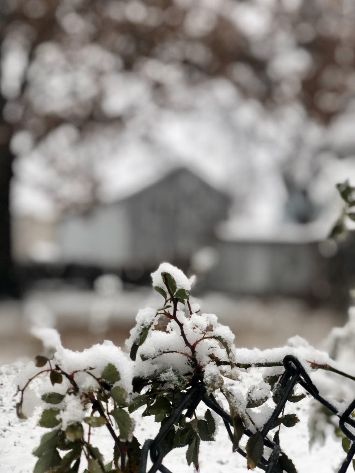 Paterson, Nueva Jersey.