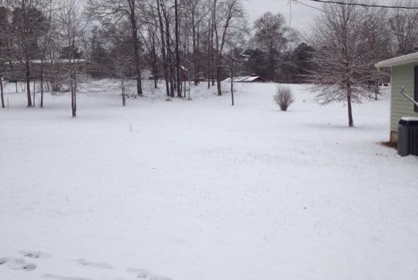 Imagen enviada por Jesus Alyeri Brayden desde Milledgville, Georgia.