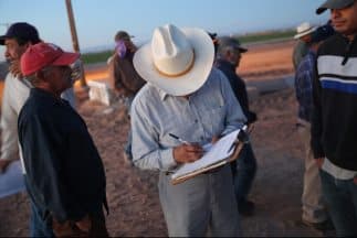 Aunque aún el Departamento de Vehículos Motorizados (DMV) no ha establecido cuáles serán los requisitos para obtener esta identificación de California, se cree que serán similares a los necesarios para obtener una licencia de conducir de la ley AB 60.