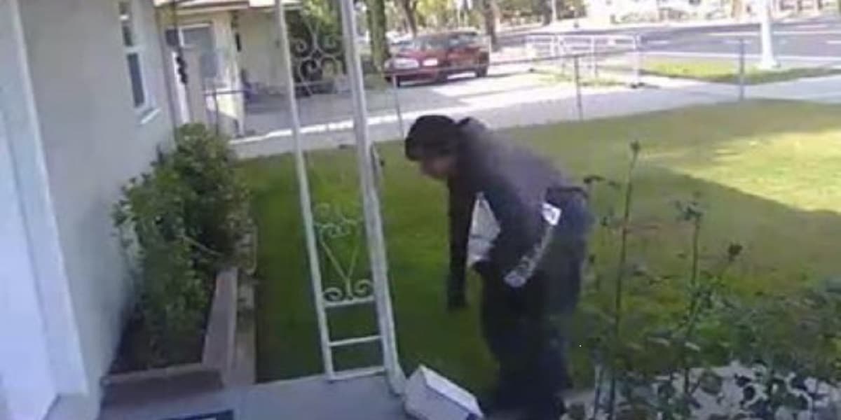 Ladrón de paquetería cae en la trampa y se lleva caja con excremento de perro