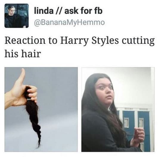Las fanáticas crearon el hashtag en la red #RIPHarrysHair, pues aseguran que viven esto como si fuera un duelo.
