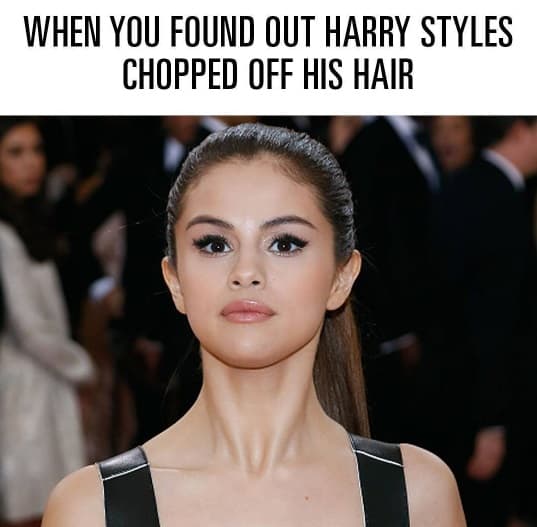 Hasta el rostro de Selena Gomez ha servido para ilustrar memes... ni modo, ni ella se puede escapar.