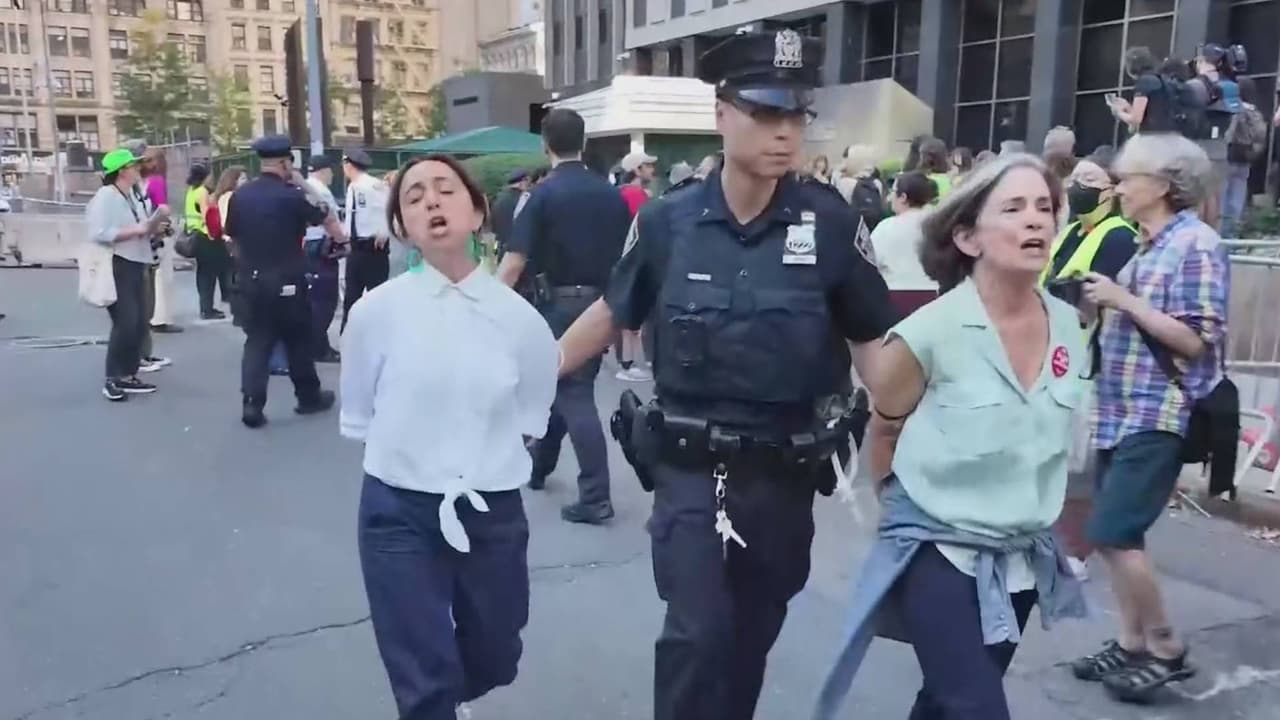 Arrestan a 11 funcionarios electos y a varios manifestantes tras protesta en el 26 Federal Plaza