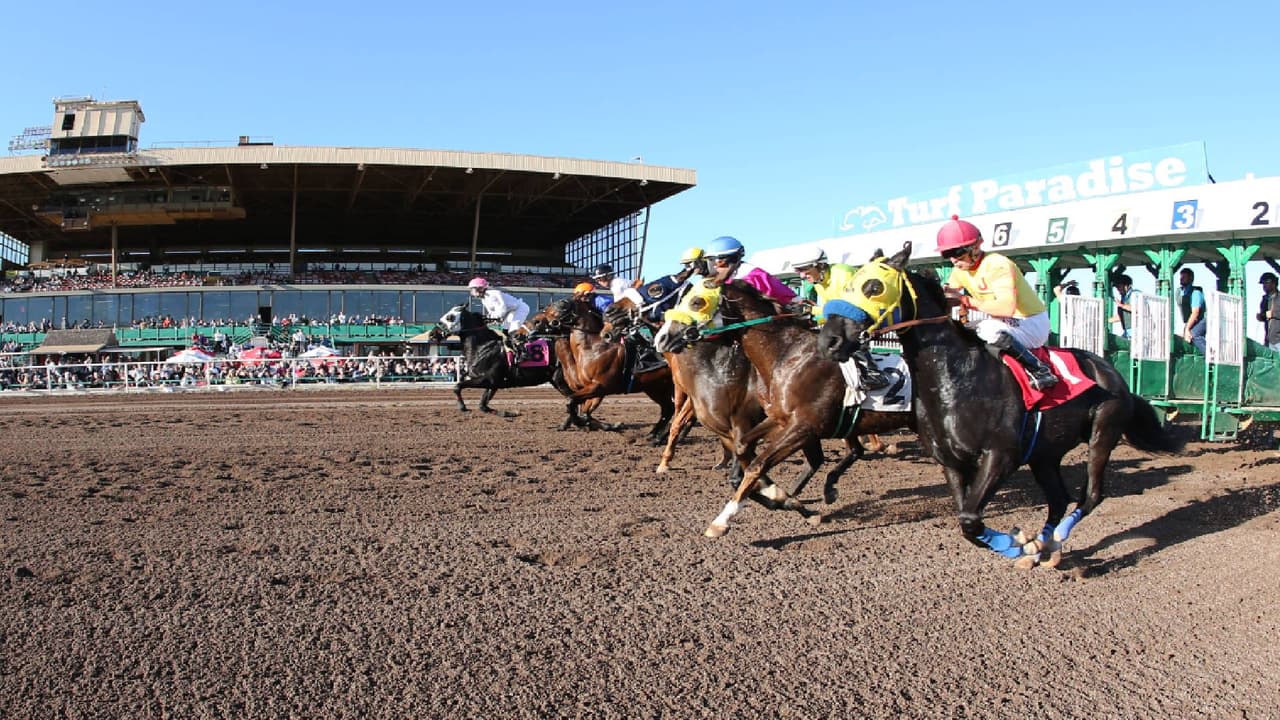 Regresan las carreras de caballos al hipódromo Turf Paradise en Phoenix, pero sin público