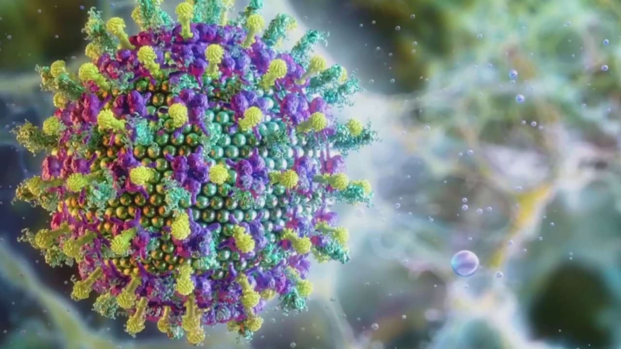 Alerta en Asia: Implementan controles fronterizos ante brote del virus Nipah con alta mortalidad