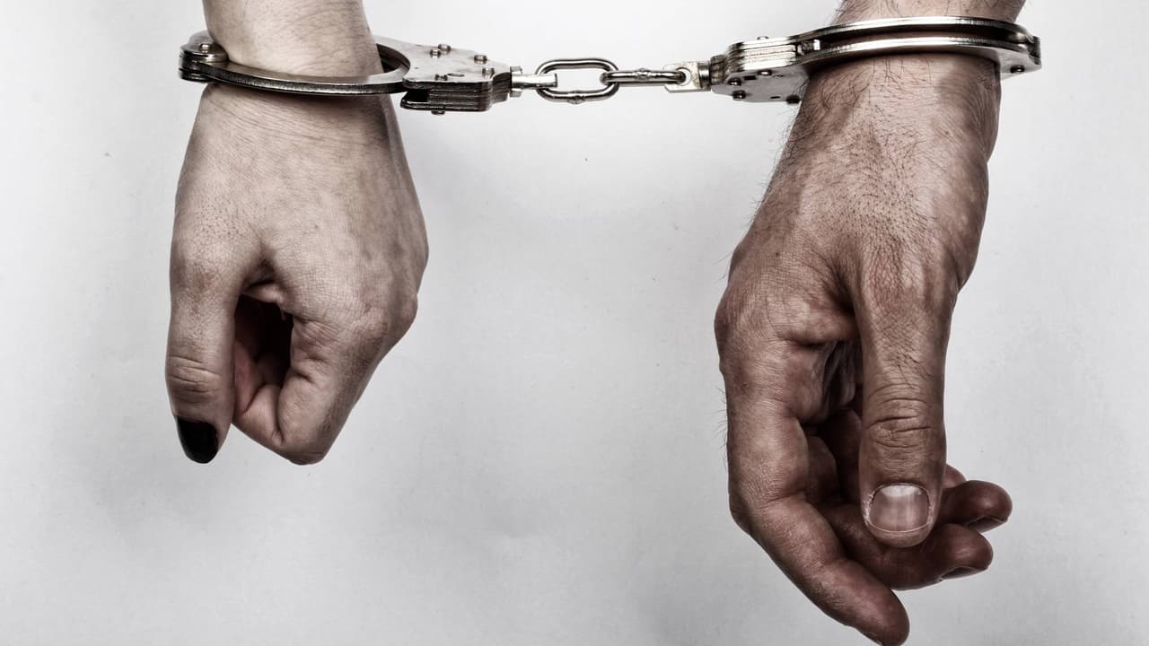 Detienen por abuso a pareja que tiene más de 20 hijos: Casi todos nacieron mediante gestación subrogada
