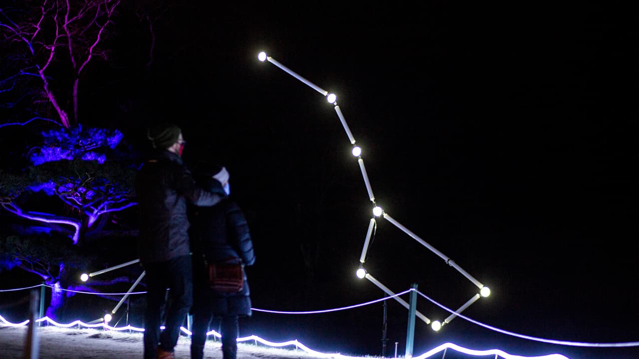 Estas luces navideñas en el Jardín Botánico de Houston son una opción ideal para visitar en estos días festivos.
