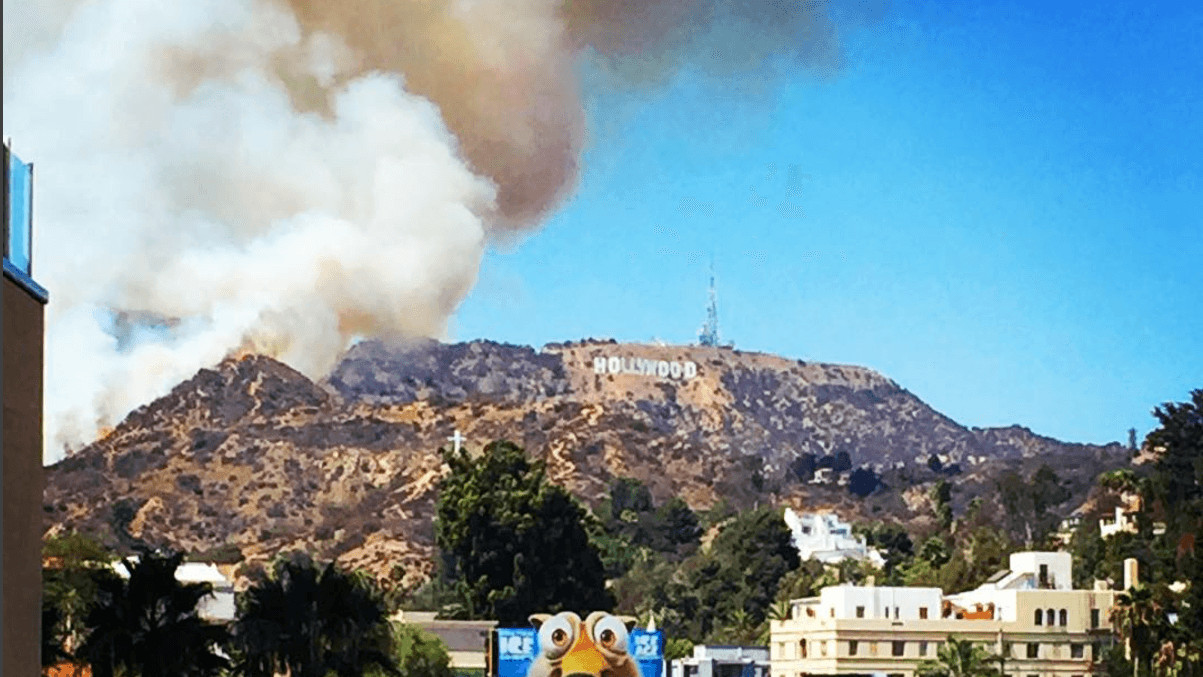 Ardieron alrededor de 14 acres.